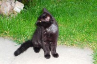 /album/nasi-pacienti/kopie-p1090270-jpg/